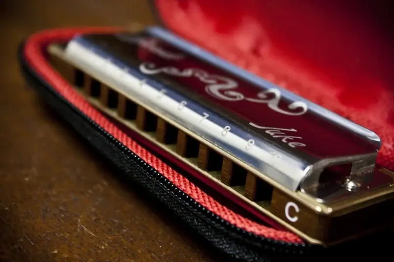 Uma gaita de boca em numa case